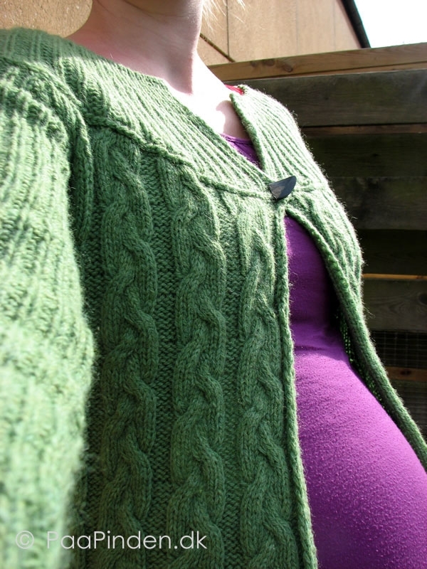 Cabled Cardigan 5
