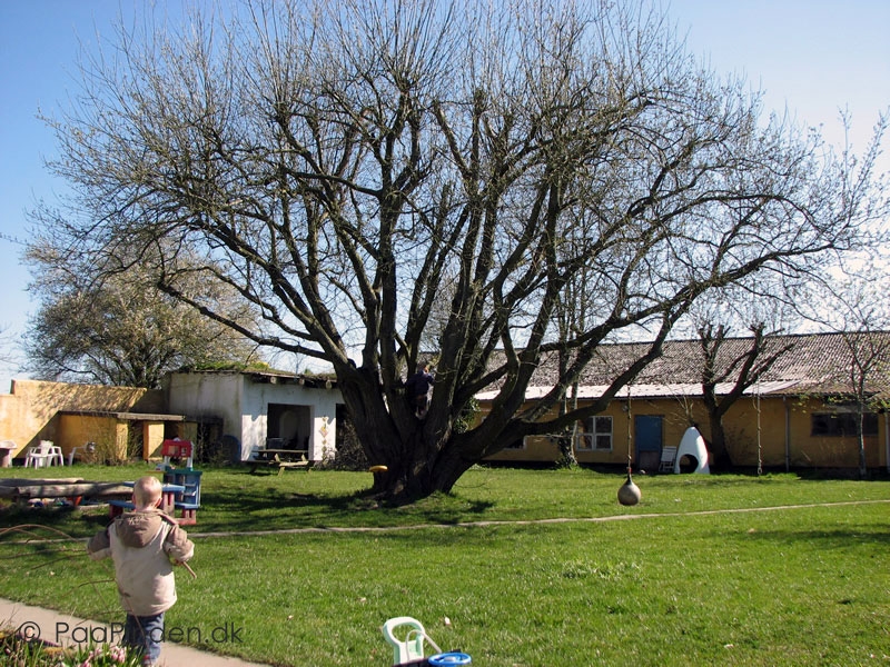 Løvegård