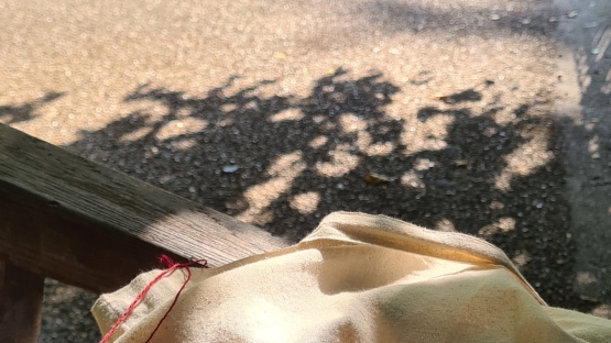 Satawal på tur - Hyde Park